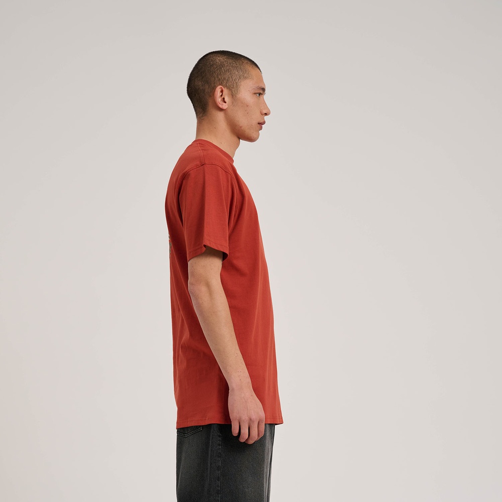 SantaCruzScreamingGrizzlyT-ShirtSCM-T3222DarkRust-XS