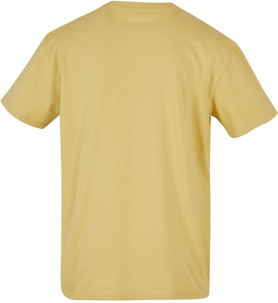 MTUpscaleT-ShirtDovesOversizeTeePalemoss-3XL