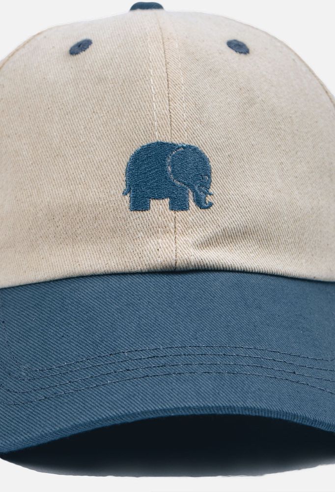 TrendsplantCapLogoDadCapIndigoEcruBlue