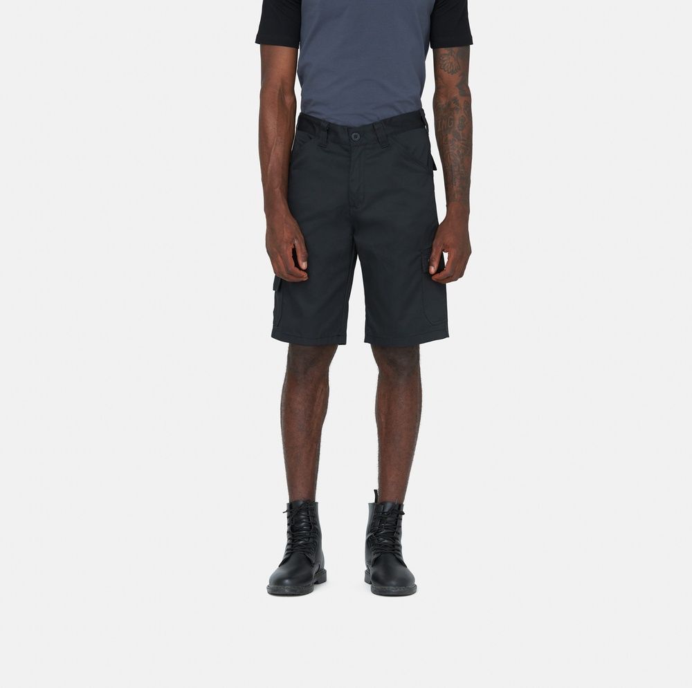 DickiesArbeitsshortEverydayShortDK0A867PBlack-28