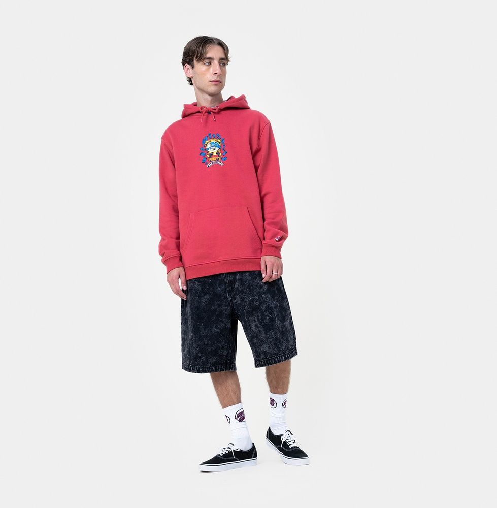 SantaCruzGrabkeAllAroundFrontHoodSCM-H3390