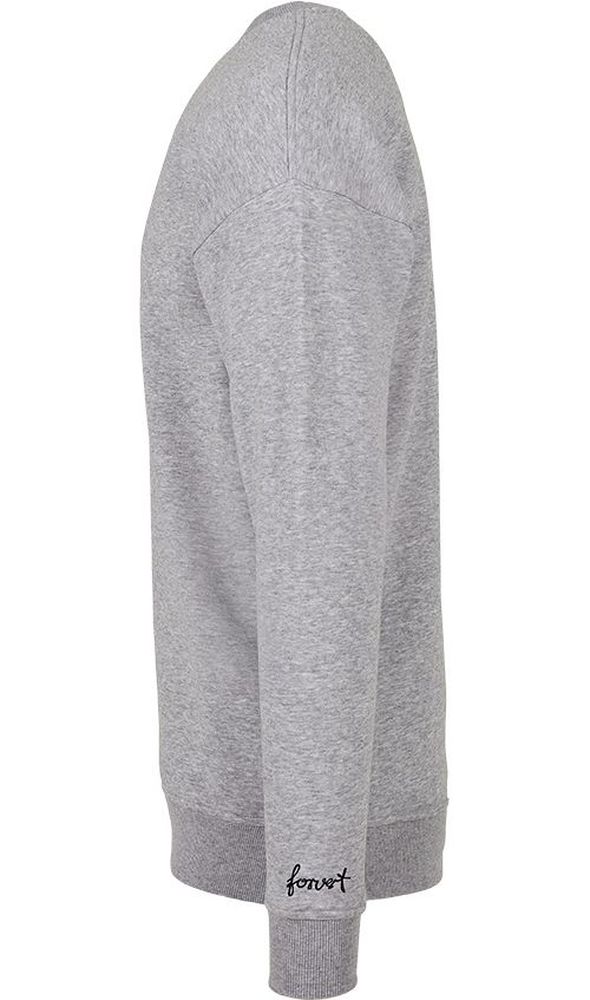 BranditForvertSweatCrewneckCampus8666Grey-S