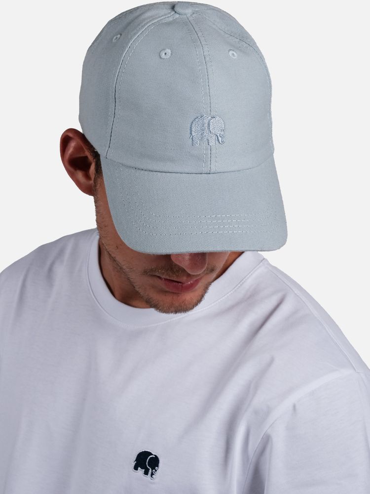 TrendsplantCapLogoDadCapSkyBlue