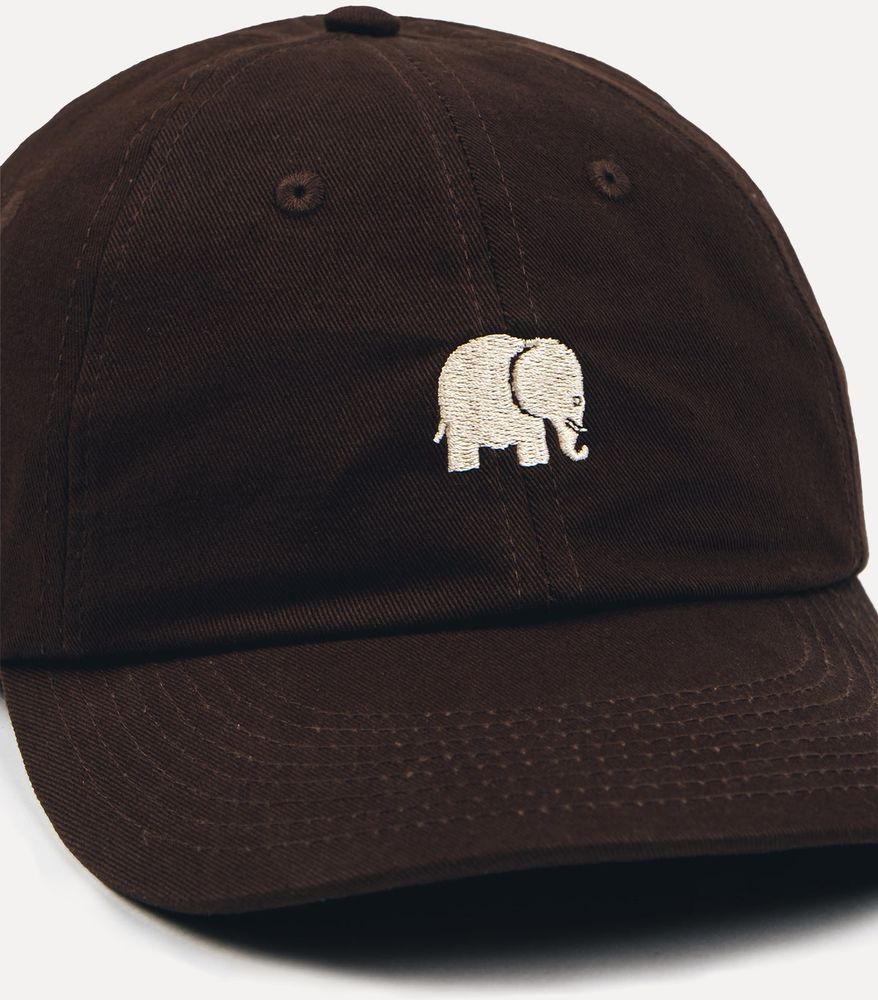 TrendsplantCapLogoDadCapPoplarBrown