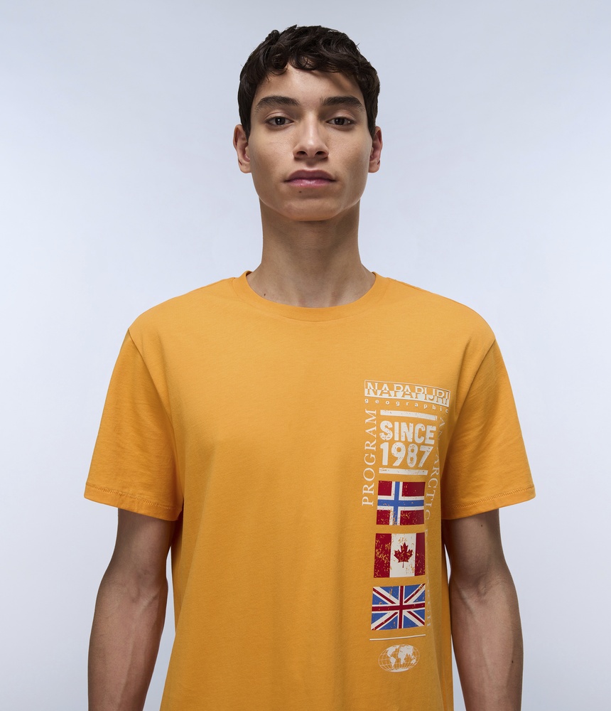 NapapijriSweatshirtS-Turin1NP0A4HQGApricot-XS