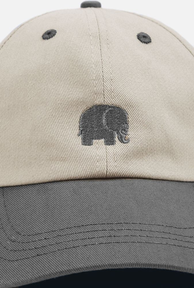 TrendsplantCapLogoDadCapMarengoGreyBlue