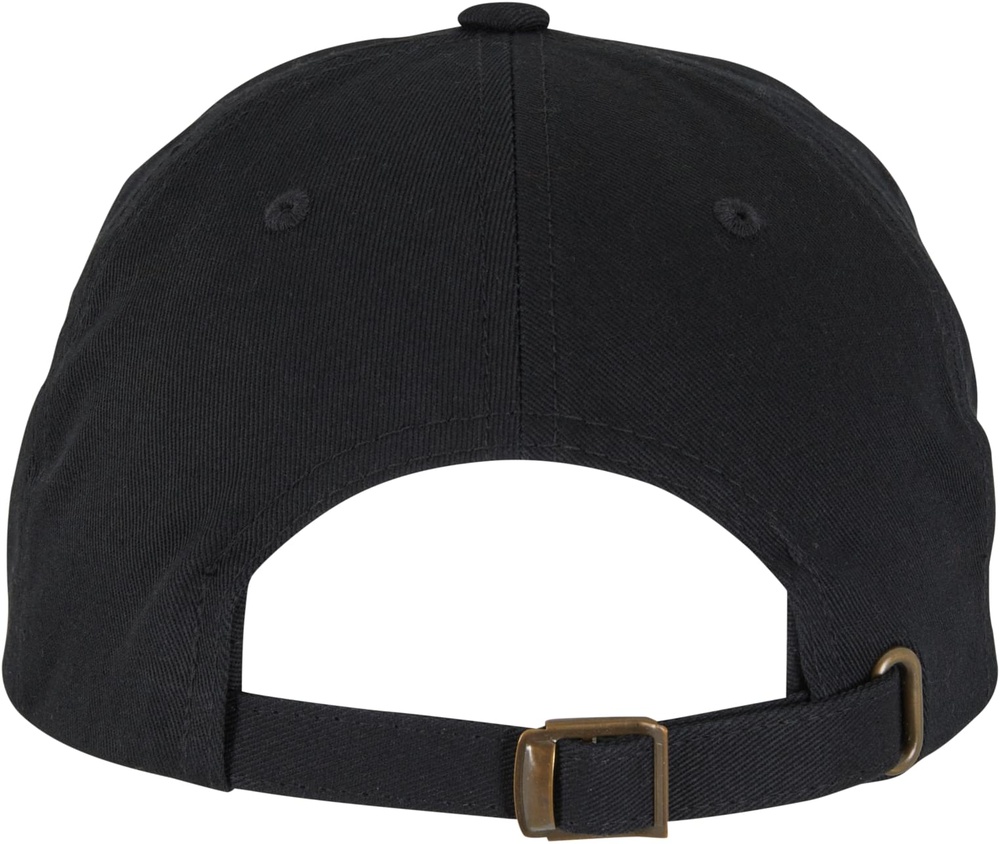 ZooYorkSkatingDadCapZY016