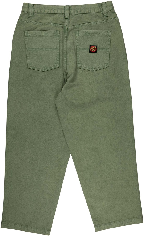 SantaCruzHoseBigPantsSCM-P2489Iguana-28