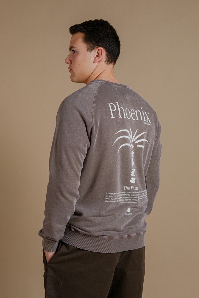 TrendsplantSweatshirtWashingtoniaMidweightPigmentSweater279090MWDP