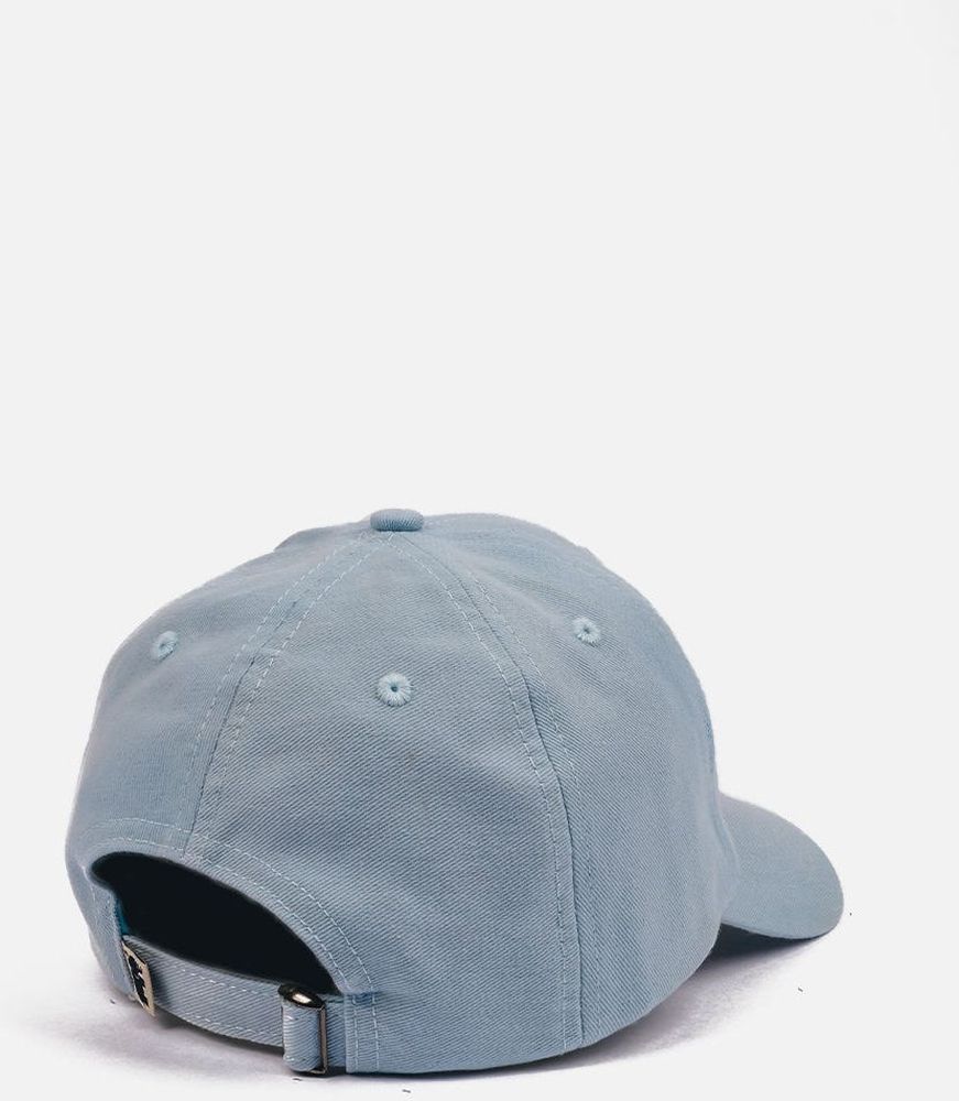 TrendsplantCapLogoDadCapSkyBlue