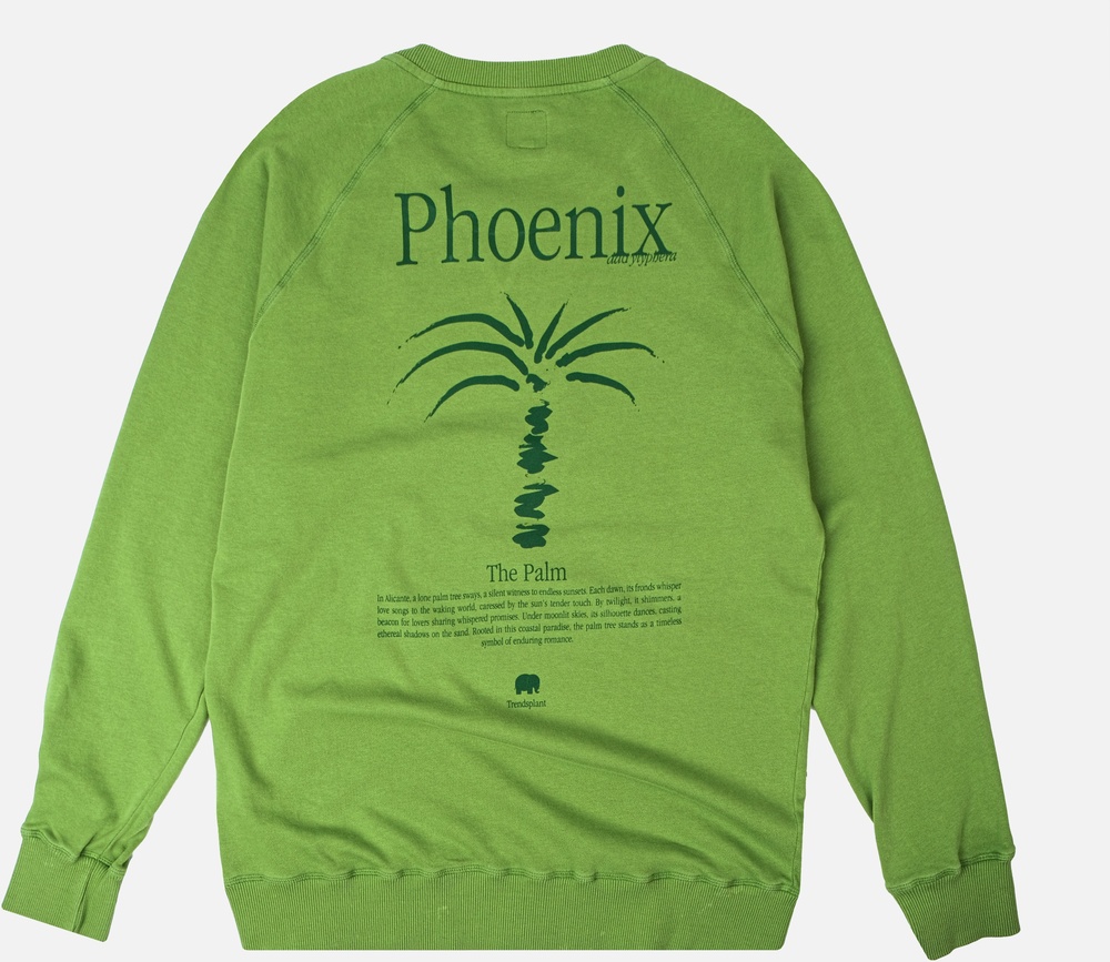 TrendsplantSweatshirtWashingtoniaMidweightPigmentSweater279060MWRG