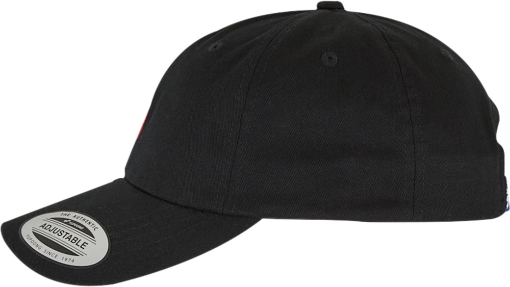 ZooYorkZm241-039-1AppleDadCap7001169