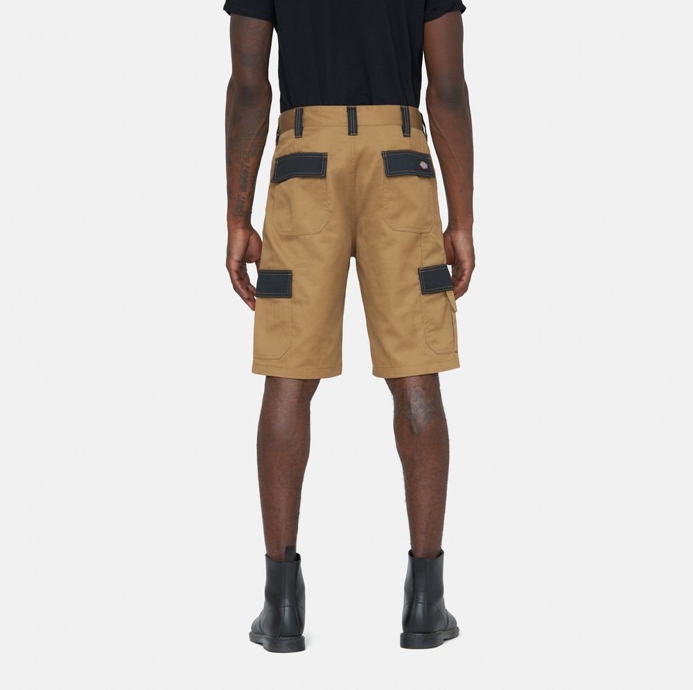 DickiesArbeitsshortEverydayShortDK0A867P