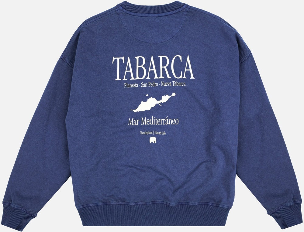 TrendsplantDamenSweatshirtWomensManzanaroPigmentOversizedSweater279010WMDW