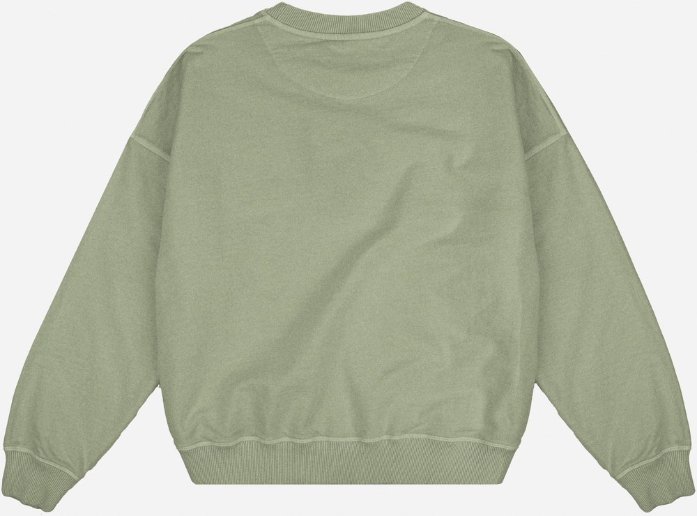 TrendsplantDamenSweatshirtWomensEssentialPigmentOversizedSweater029060WSWJ