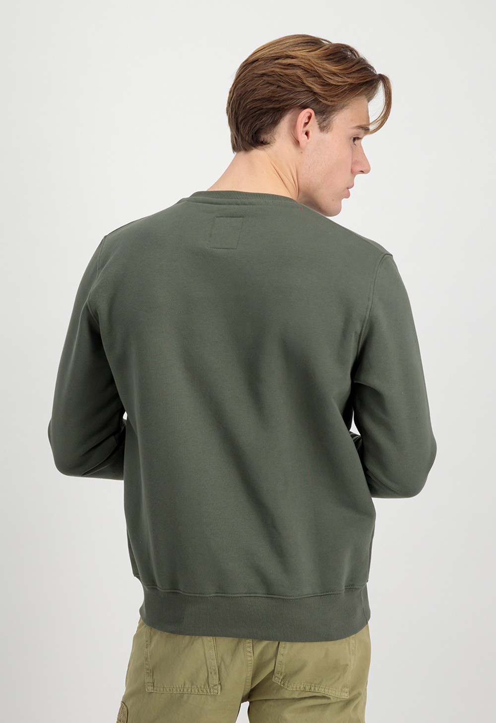 AlphaIndustriesBasicSweaterSmallLogoHoodiesSweatshirts