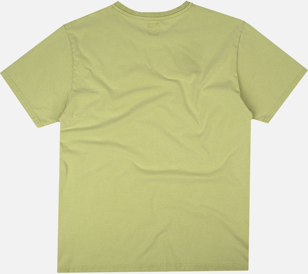 TrendsplantT-ShirtPetiolePigment279960MPPA