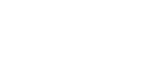 logo_alpha-industries_white_300px.png?ts=1759392118