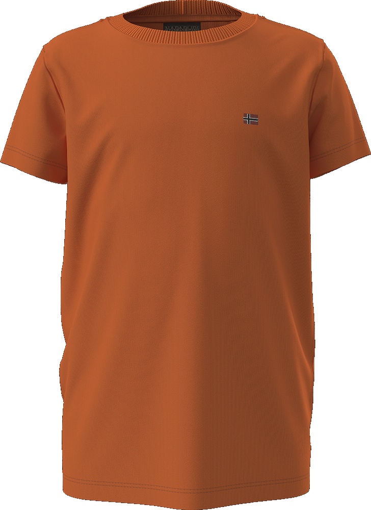 NapapijriKinderSweatshirtKSalisSs2NP0A4GEH