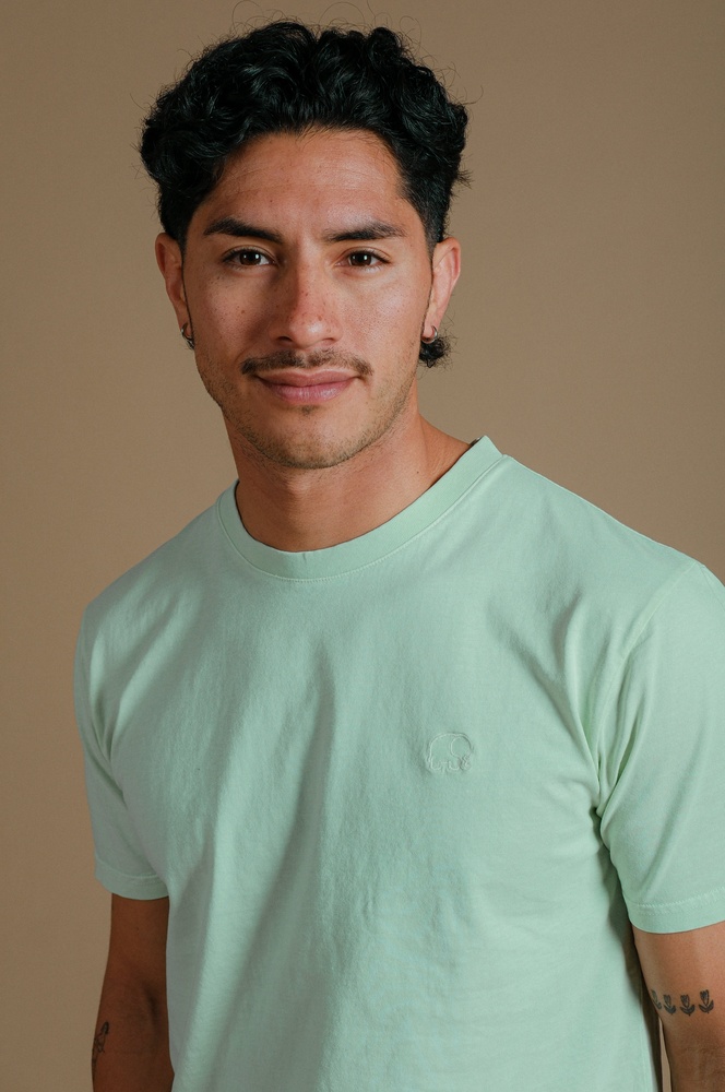 TrendsplantT-ShirtEssentialPigment029910MDAE