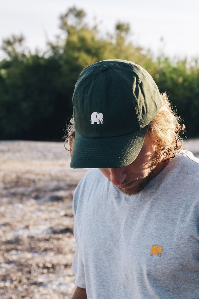 TrendsplantCapLogoDadCapKombuGreenGreen