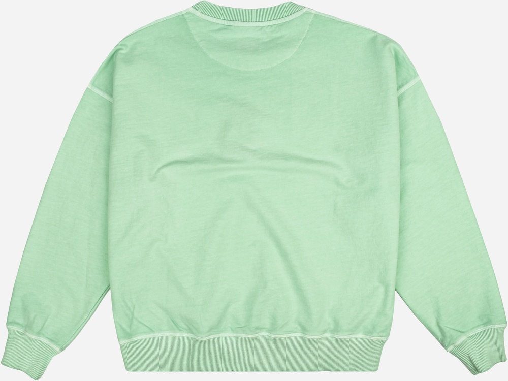 TrendsplantDamenSweatshirtWomensEssentialPigmentOversizedSweater029010WSDA