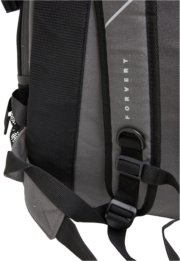 BranditForvertCanvasLaptopLouis8660