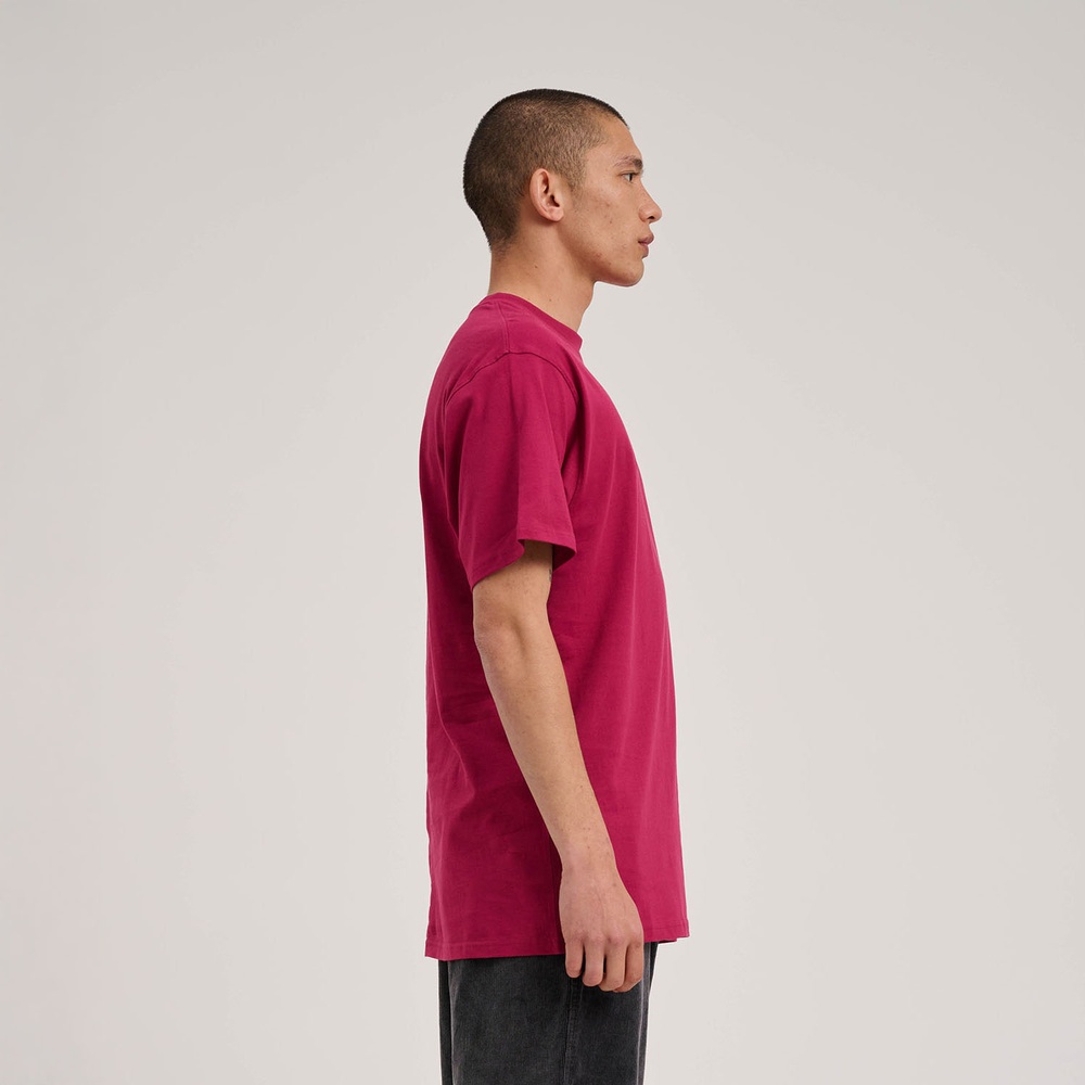 SantaCruzFlamingDiceDotChestT-ShirtSCM-T3268