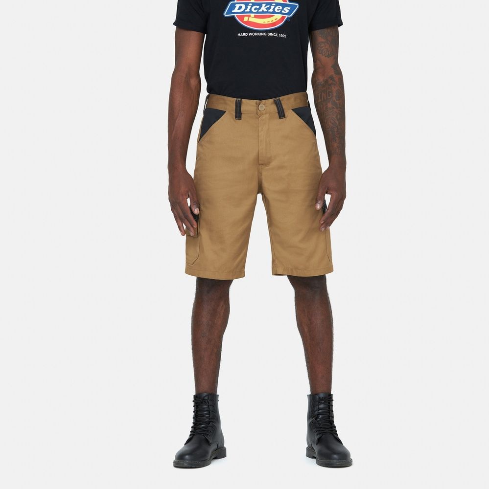 DickiesArbeitsshortEverydayShortDK0A867P
