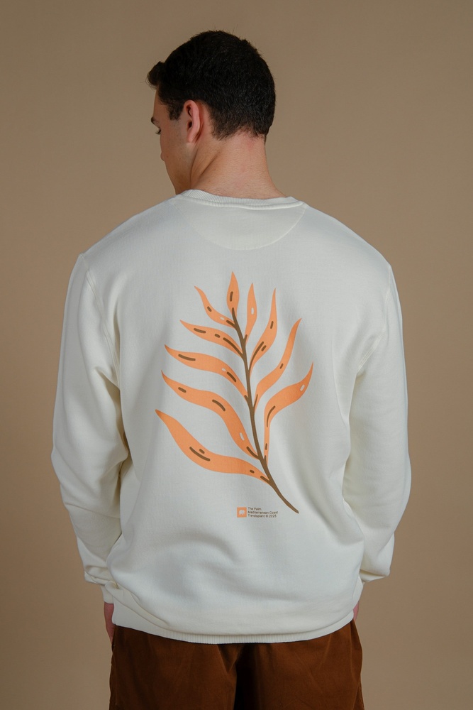 TrendsplantSweatshirtPalmeralPigmentMidweightSweater279040MPEC