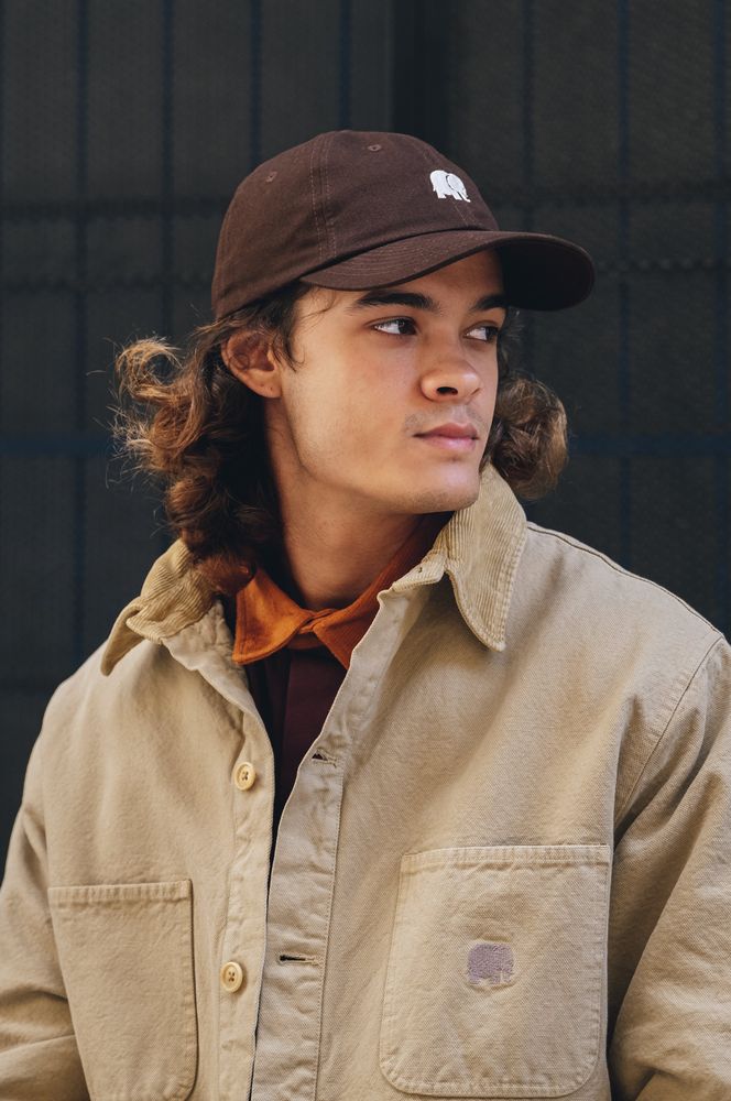 TrendsplantCapLogoDadCapPoplarBrown