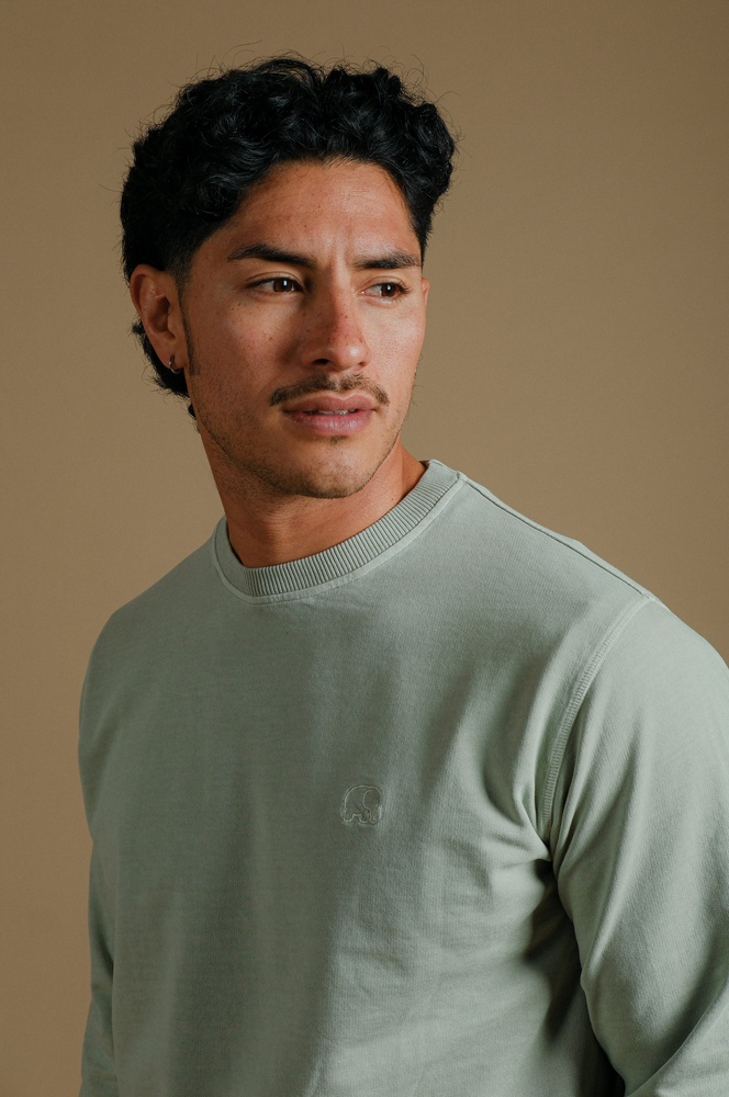 TrendsplantSweatshirtEssentialPigmentSweater029060MMSR