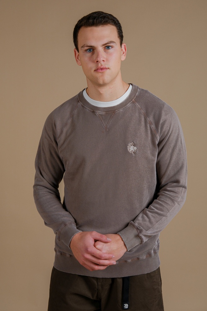 TrendsplantSweatshirtWashingtoniaMidweightPigmentSweater279090MWDP