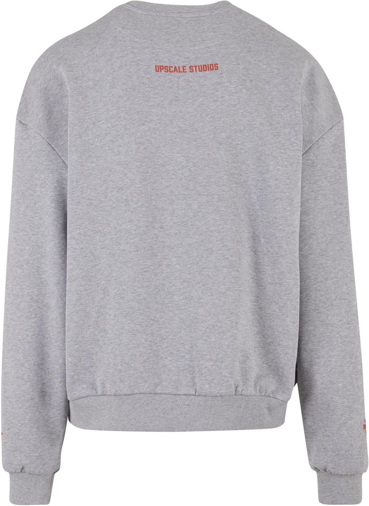 MTUpscalePulloverTexasLonghornsAustinOversizeCrewneckMT3738